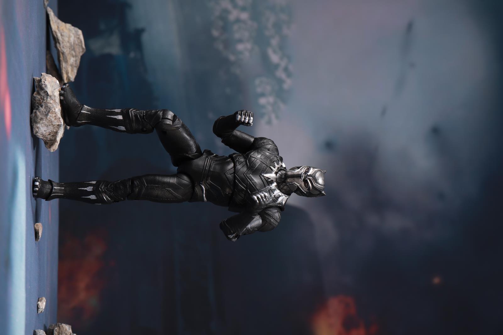 1901-04 支架版黑豹.JPG